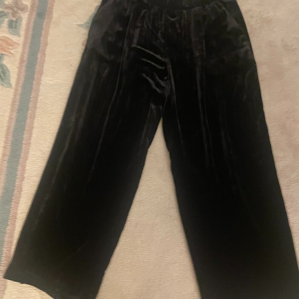 NWT Eileen Fisher Velvet Wide-Leg Pant Large